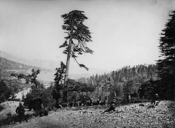 Soldati nativi e britannici a riposo durante la Seconda Guerra Anglo-Afghana, 1878-80